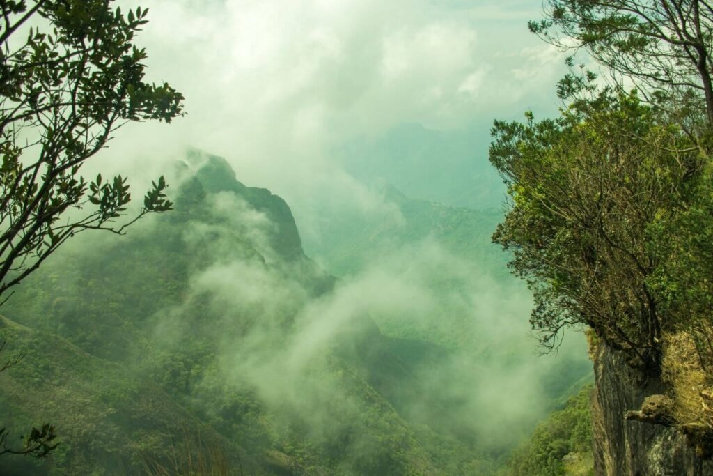 Trekking in Kodaikanal | Kodaikanal Trekking | Adventure in Kodaikanal | Tour Packages in Kodaikanal | Best Travels in Kodaikanal | Local Tour Packages in Kodaikanal | Kodaikanal Holidays | Kodaikanal Tourism |Travels in Kodaikanal | Kodaikanal Travels | Cab Rentals in Kodaikanal | Car Booking in Kodaikanal | Room Booking in Kodaikanal | Hotel  Booking in Kodaikanal | Cottages in Kodaikanal | Resorts in Kodaikanal | Hotels and Resorts in Kodikanal | Camp Fire in Kodiakanal | Kodaikanal Resorts | Kodaikanal Hotels | Group Tours | Corporate Tours | Kodaikanal Package Tours | Kodaikanal sightseeing tour package| Kodaikanalk Cab Rentals | Kodiakanal Adventure | Jeep Safari in Kodaikanal | Forest Safari in Kodaikanal | Night Safari in Kodaikanal |Kodaikanal local tours|Honeymoon Packages| Honeymoon package in kodaikanal|kodaikanal Tour package | Kodaikanal Tours | Kodaikanal Sightseeing | Kodaikanal | Kodaikanal Hotels | Kodaikanal Budget Hotels | Kodaikanal Economy Hotels | Kodaikanal |Kodaikanal Hotels rates below 500| Budget cottages in Kodaikanal with rates | Kodaikanal Car Rental |Car Rental Kodaikanal |Taxi in Kodaikanal | Kodaikanal Taxi Service | Kodaikanal Cabs |South India Tours | Madurai Tours | Rameshwaram Tours | Kanyakumari Tours | Munnar Tours | Alleppey tours | Kerala tours | Thekkady tours